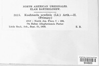 Kuehneola uredinis image